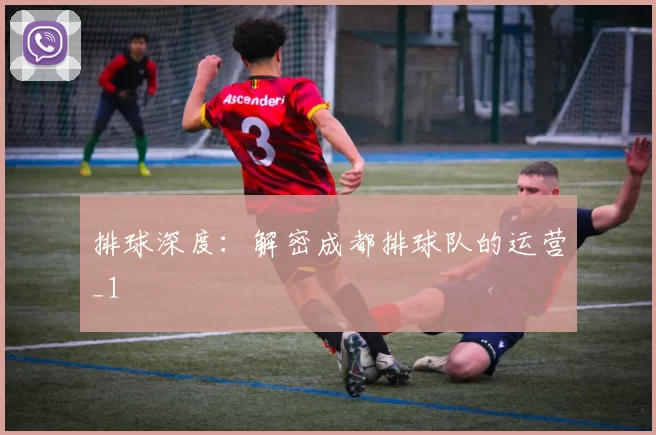 排球深度：解密成都排球队的运营_1