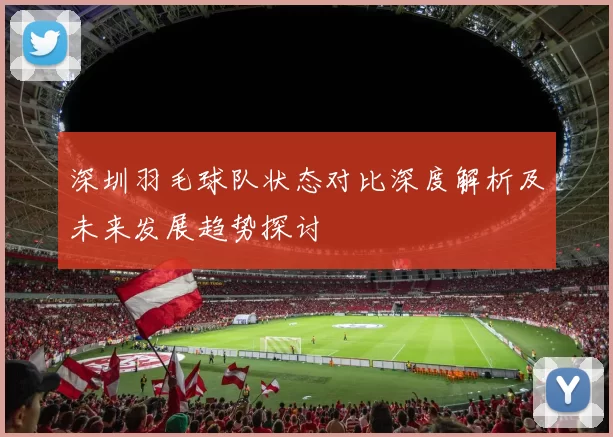 深圳羽毛球队状态对比深度解析及未来发展趋势探讨