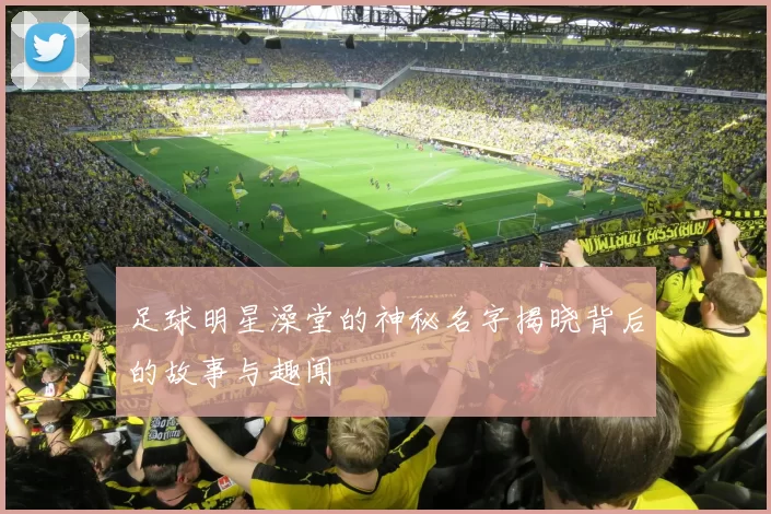 足球明星澡堂的神秘名字揭晓背后的故事与趣闻