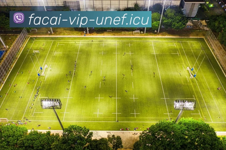 乐鱼体育注册平台生态图